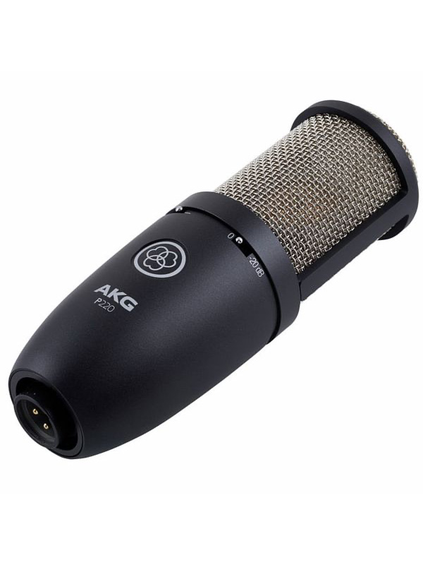 AKG P220